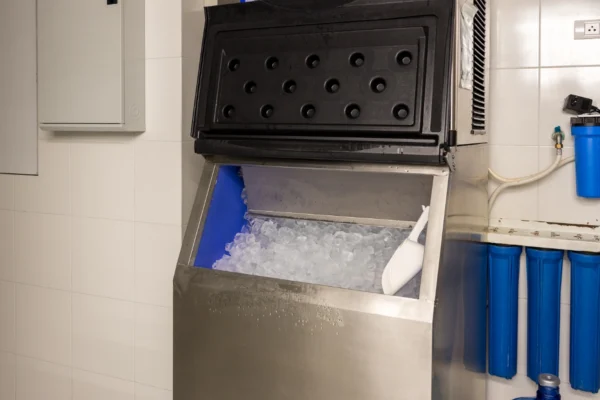 Invest in at Least One Good Ice Maker