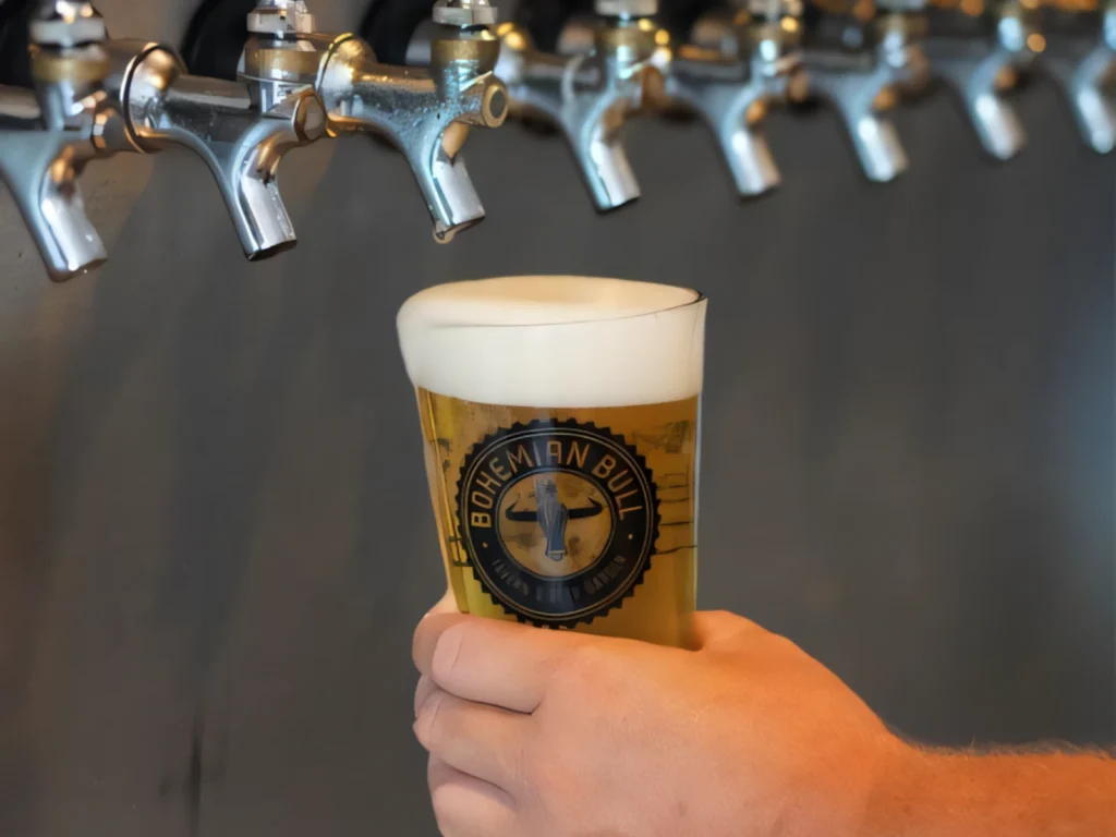 National IPA Day: Why It’s a Celebration Worth Joining